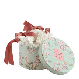 Gift Set of 5 Scented Decorations - Fleur de Cerisier