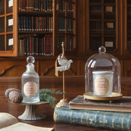 Bougie parfumée Les Intemporelles 145 g - Cèdre Éternel