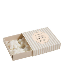 Set of 4 wax-melts - Cèdre Éternel