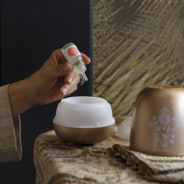 Surconcentré de parfum d'ambiance Les Intemporelles 10 ml - Cèdre Éternel