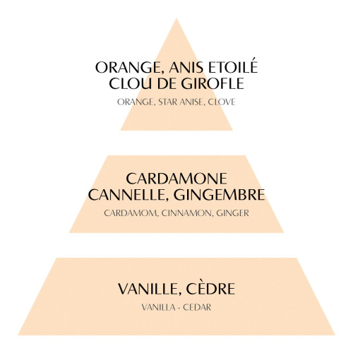 Recarga de perfume de ambiente Rubans de Fête 200 ml - Orange Cannelle