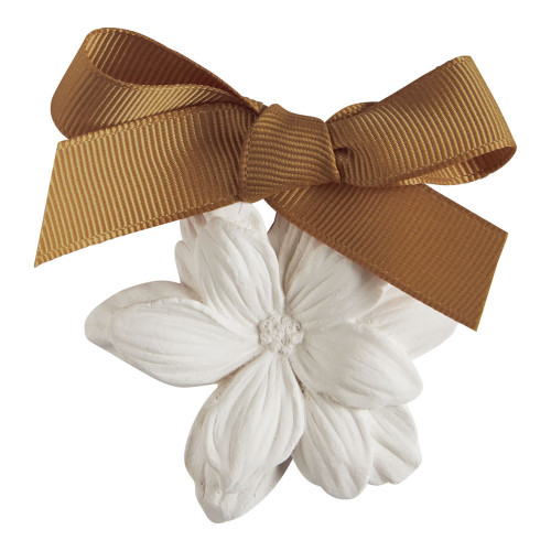 Estuche de 5 decoraciones perfumadas - Cèdre Éternel