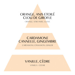 Décor parfumé Houx Rubans de Fête - Orange Cannelle