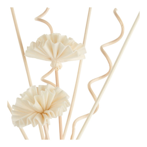 Confezione di 2 bastoncini con fiori e 6 bastoncini in rattan per diffusori di profumo Jardin de Fantaisies
