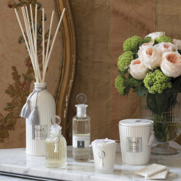 Home fragrance Les Intemporels 100ml - Angélique