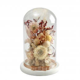 Cloche de fleurs séchées Cabinet des Merveilles - Moyen modèle