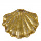 Cupel seashell